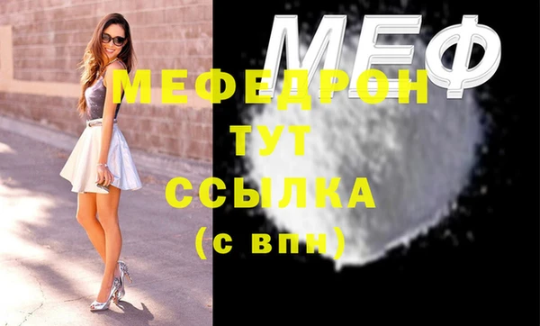 МДПВ Протвино