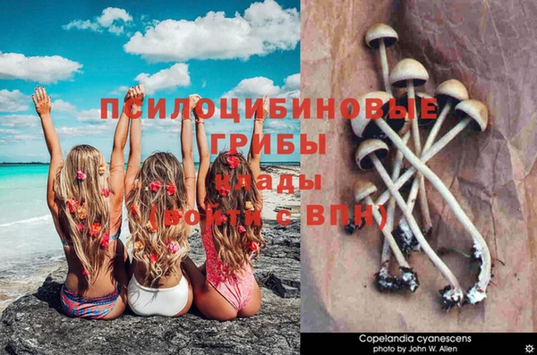марихуана Аркадак