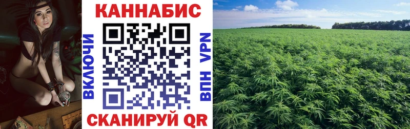 где купить наркотик  Хотьково  Конопля конопля 